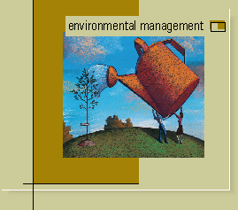 environmental management